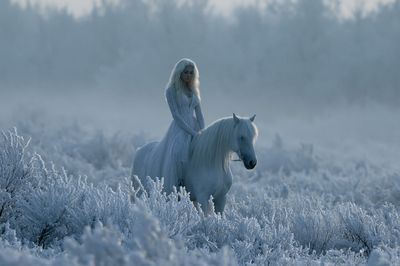 Winter White Horse Portrait Poster. poster