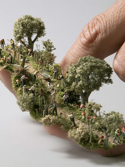 Miniature Garden Hand Photography Poster.
