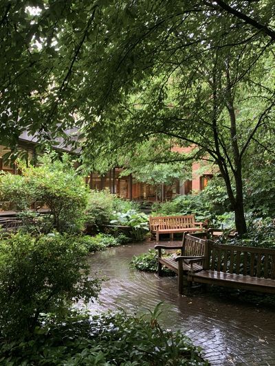 Rainy Garden Courtyard Photography Poster.