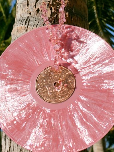 Pink Vinyl Disc Photography Poster. poster