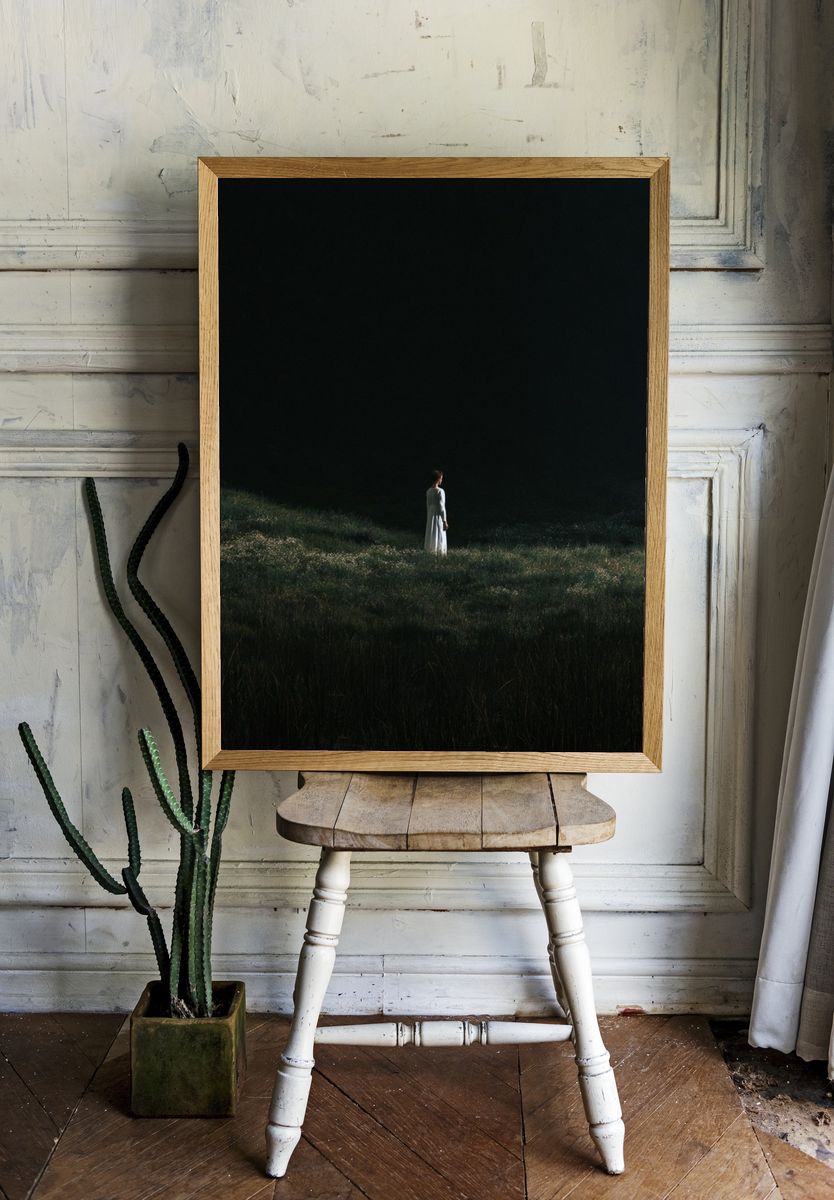 Solitary Figure in Meadow Photography Poster. room preview