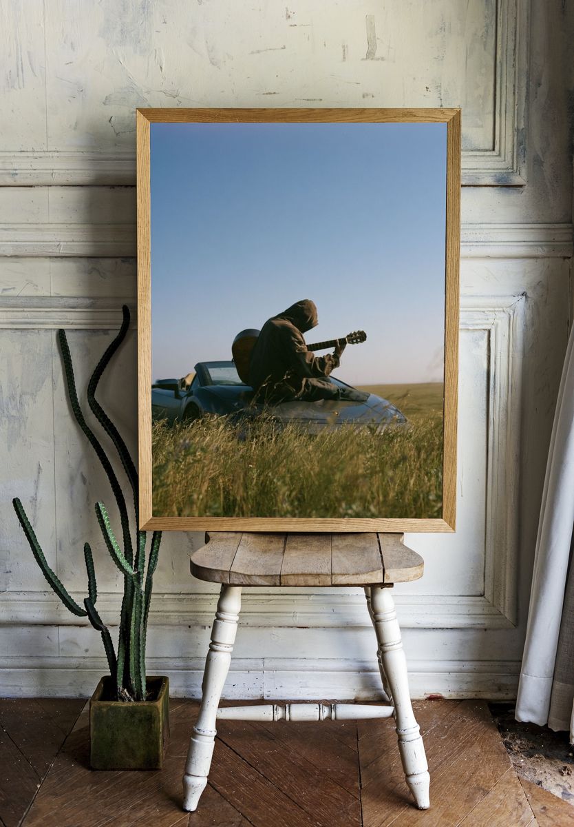 Guitarist in Field Photography Poster. — room view 1