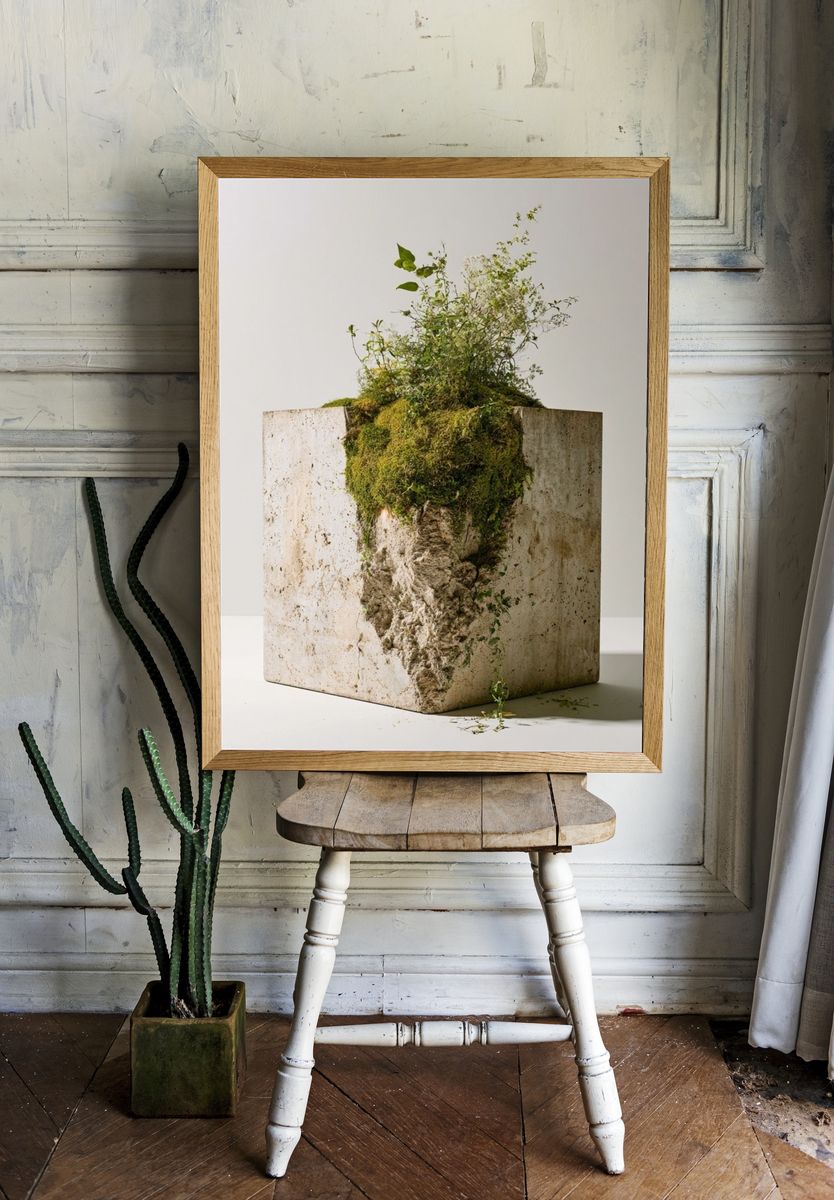 Mossy Stone Planter Photography Poster. — room view 1