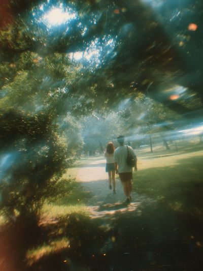Dreamy Park Walk Photography Poster. poster print