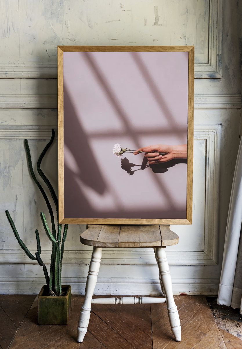 Woman holding white carnation pink. room preview