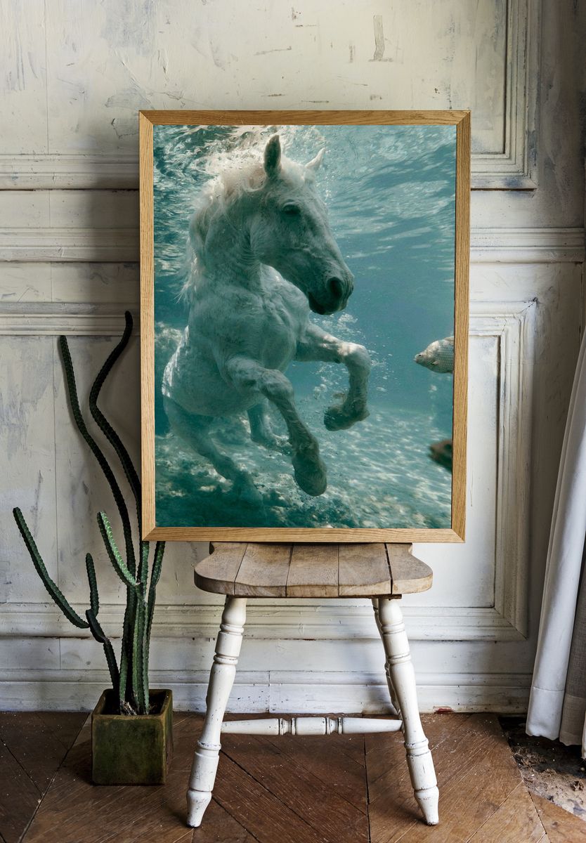 White Horse Underwater Photography Poster. room preview