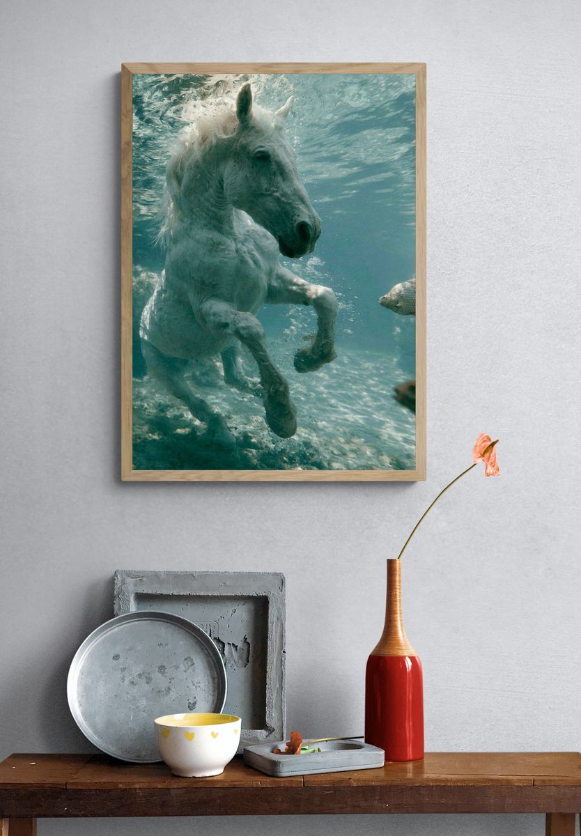 White Horse Underwater Photography Poster. — room view 3