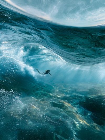 Underwater Wave Surfer Photography Poster.