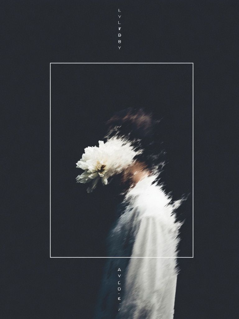 Blurred Floral Figure Photography Poster. poster — photography art