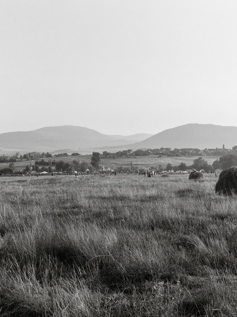 Misty Grassland Landscape Print. poster detail