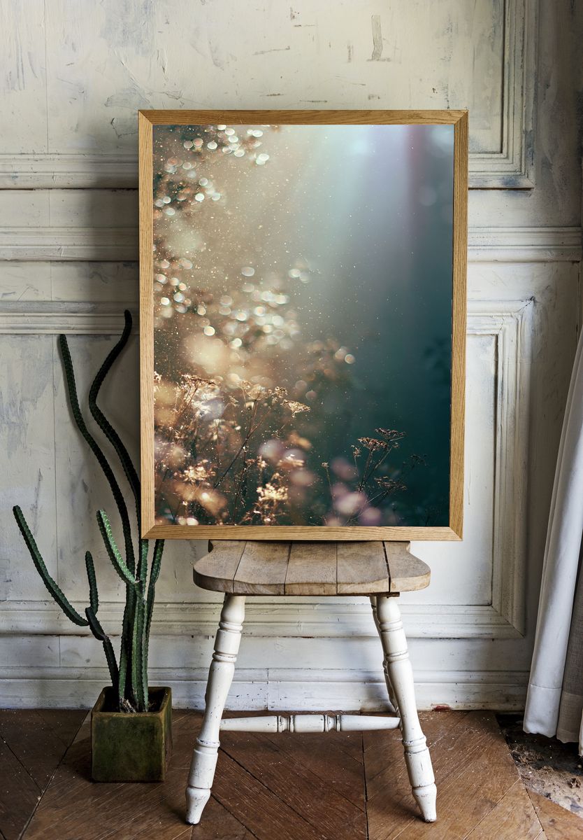 Sunlit Meadow Bokeh Photography Poster. room preview