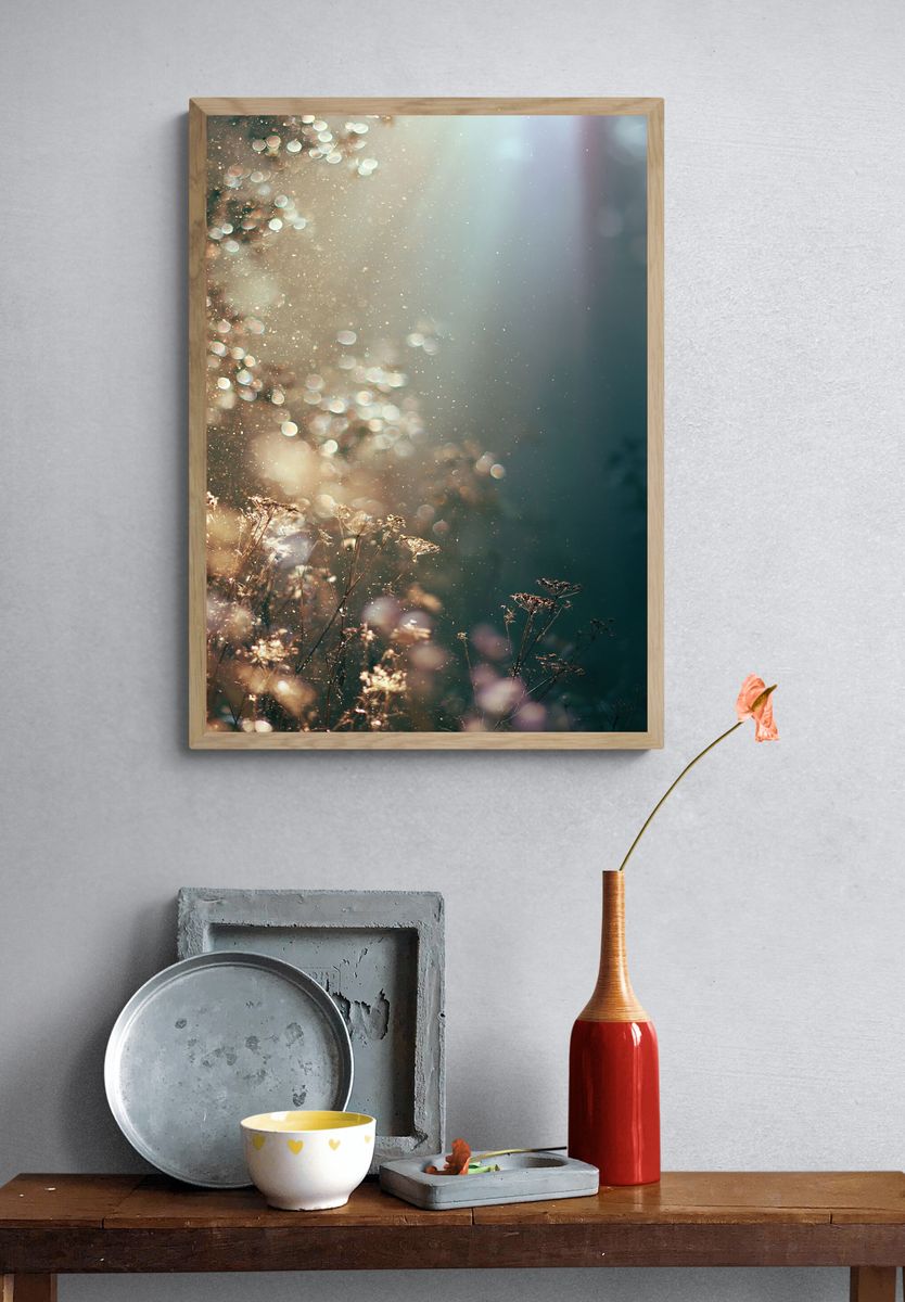 Sunlit Meadow Bokeh Photography Poster. — room view 3