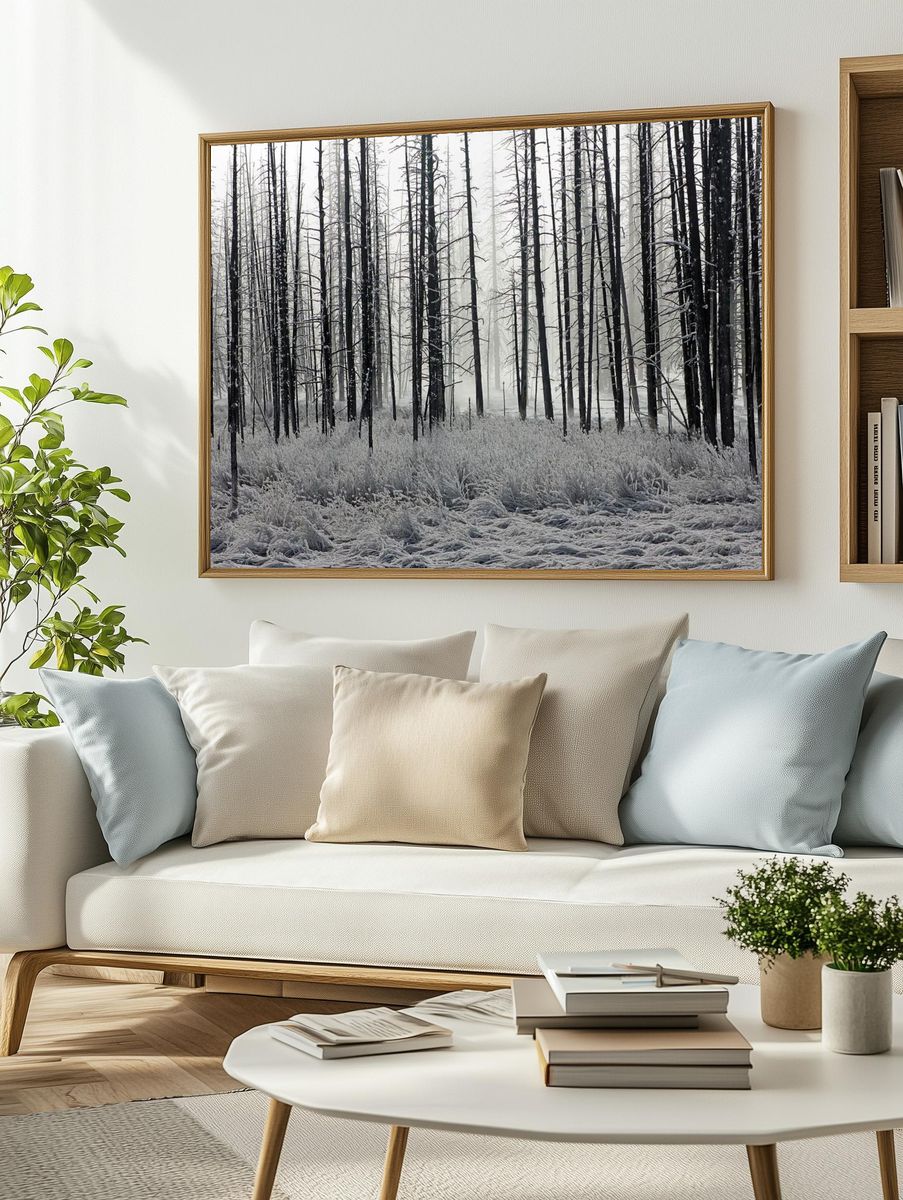 Misty Winter Forest Photography Poster. — room view 2