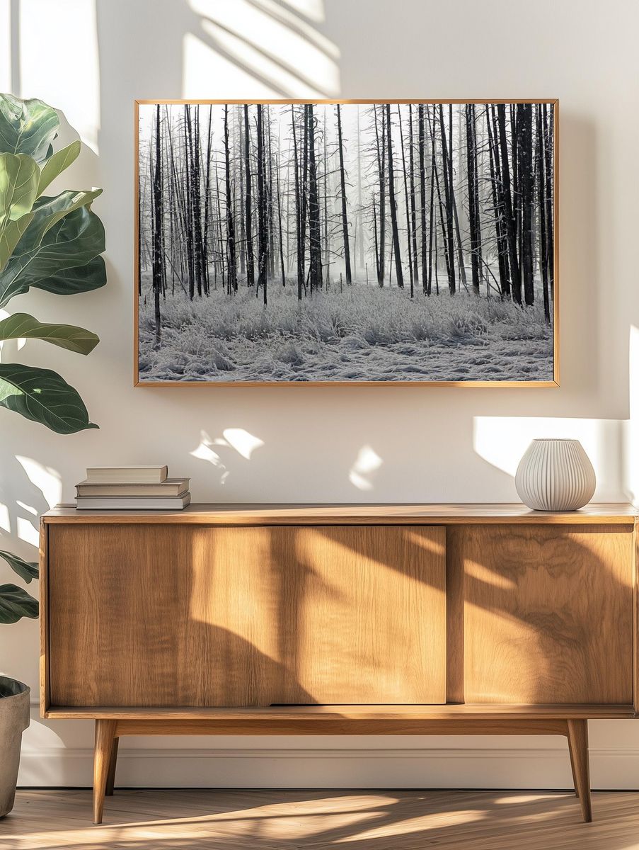 Misty Winter Forest Photography Poster. — room view 3