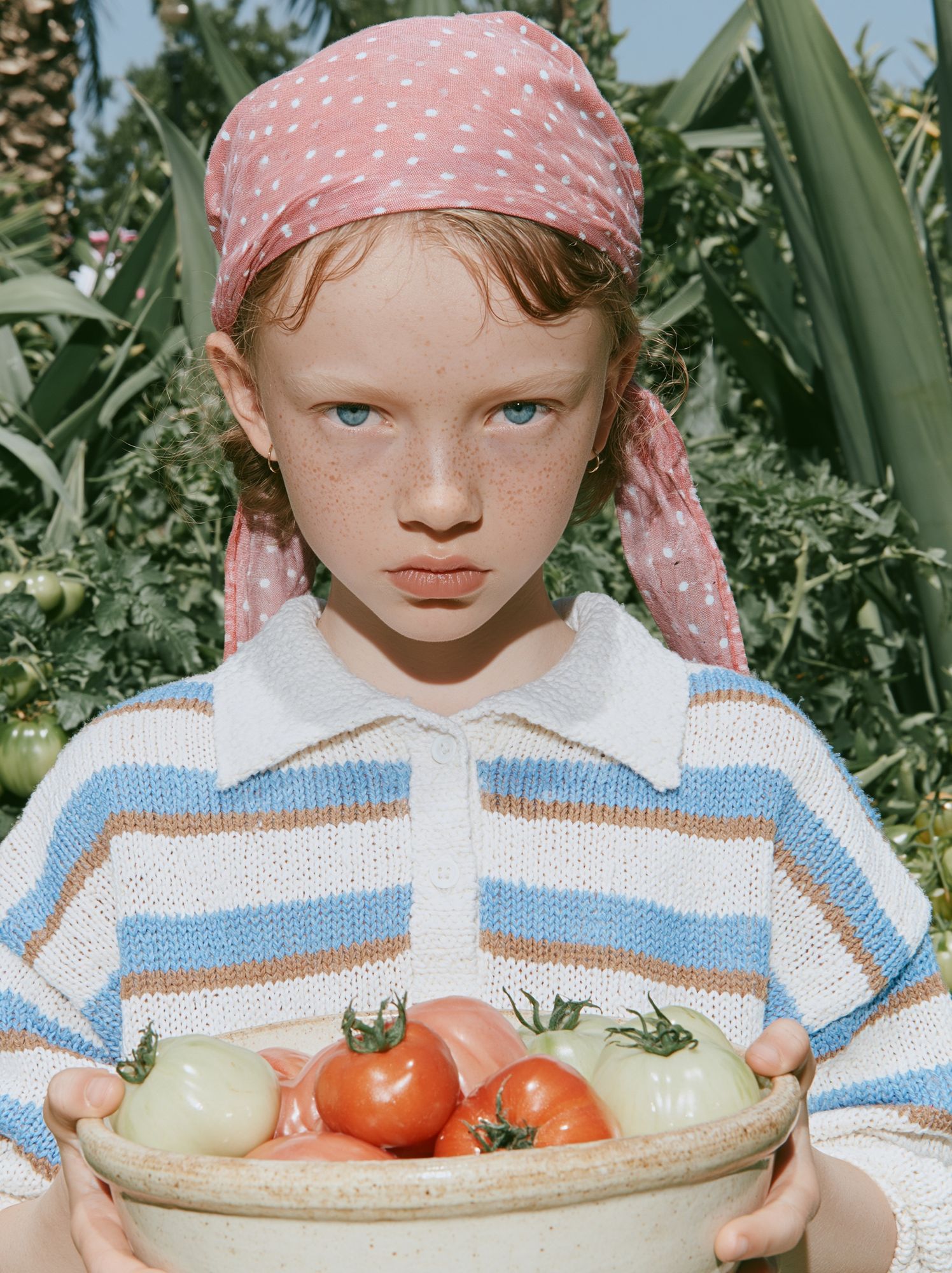 Tomato Harvest Portrait Print. poster — photography art