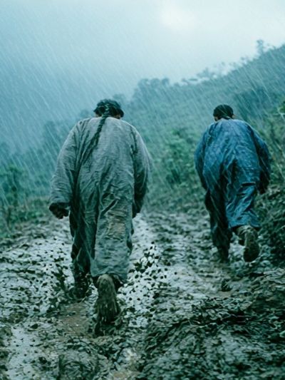 Rainy Mountain Walk Photography Poster. poster