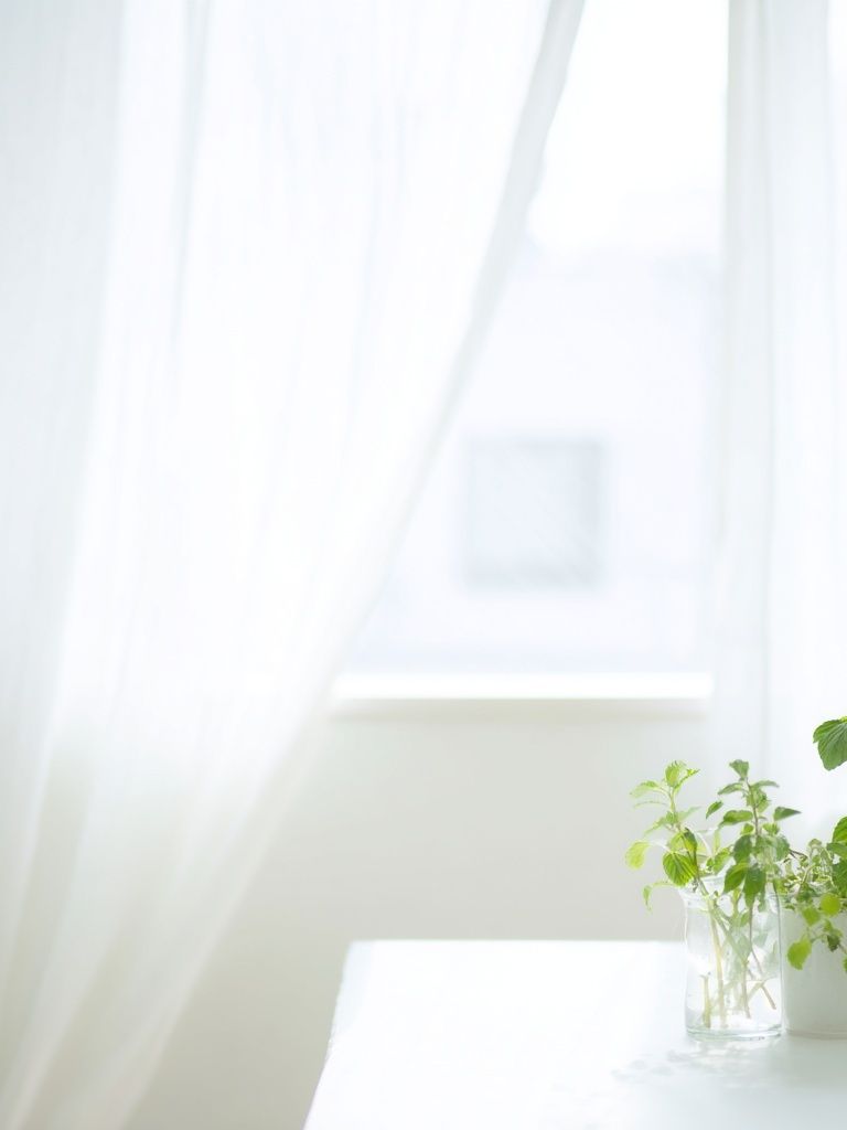 Sunlit Window Herbs Photography Print. poster — photography art