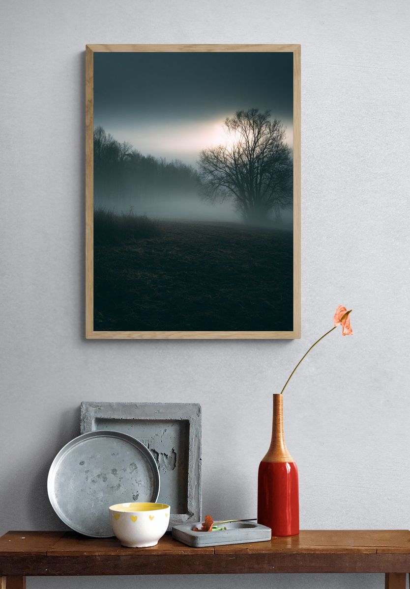 Misty Tree at Dawn Photography Poster. — room view 3