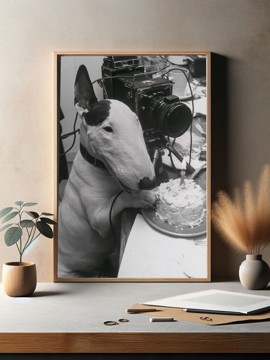 Bull Terrier Birthday Camera Poster. — room view 2
