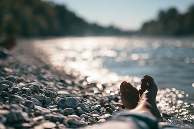 Lake Shore Relaxation Photography Poster.