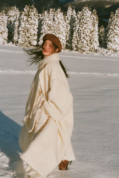 Winter Portrait in the Alps Poster.