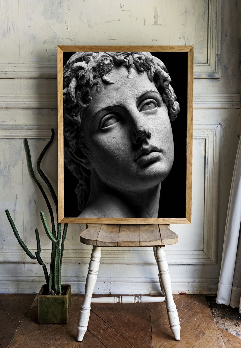 Classical Marble Bust Photography Poster. room preview
