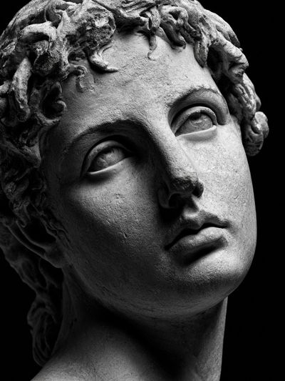 Classical Marble Bust Photography Poster. poster