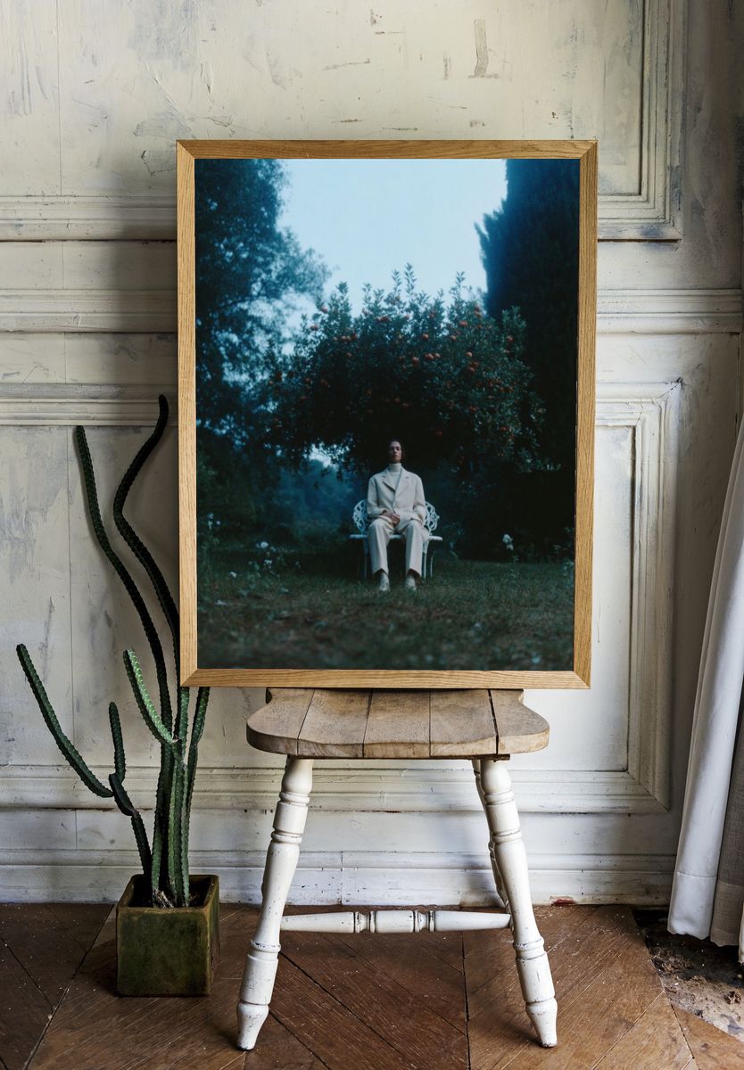 Solitary Garden Portrait Photography Poster. room preview