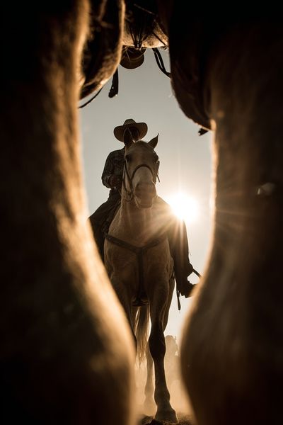 Cowboy on Horseback Photography Poster. poster