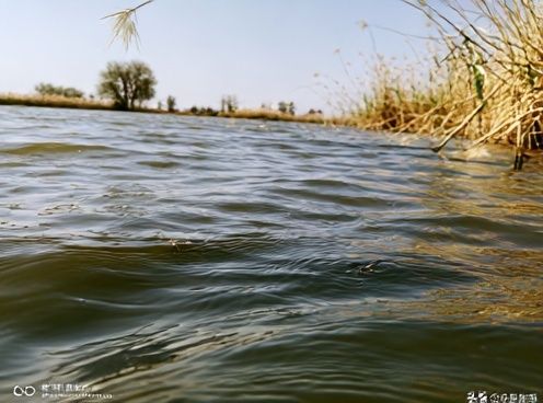 Serene River Waterline Photography Poster. poster — photography art