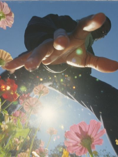 Sunlit Flowers and Hand Photography Poster.