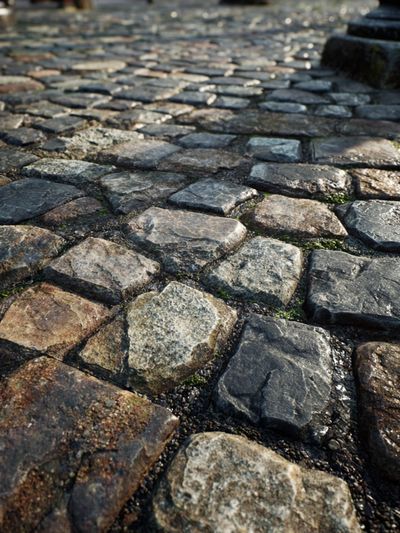 Cobblestone Path Photography Poster. poster