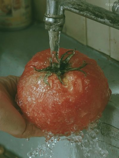 Washing Tomato Photography Print.