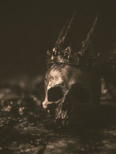 Crowned Skull Dark Photography Poster.