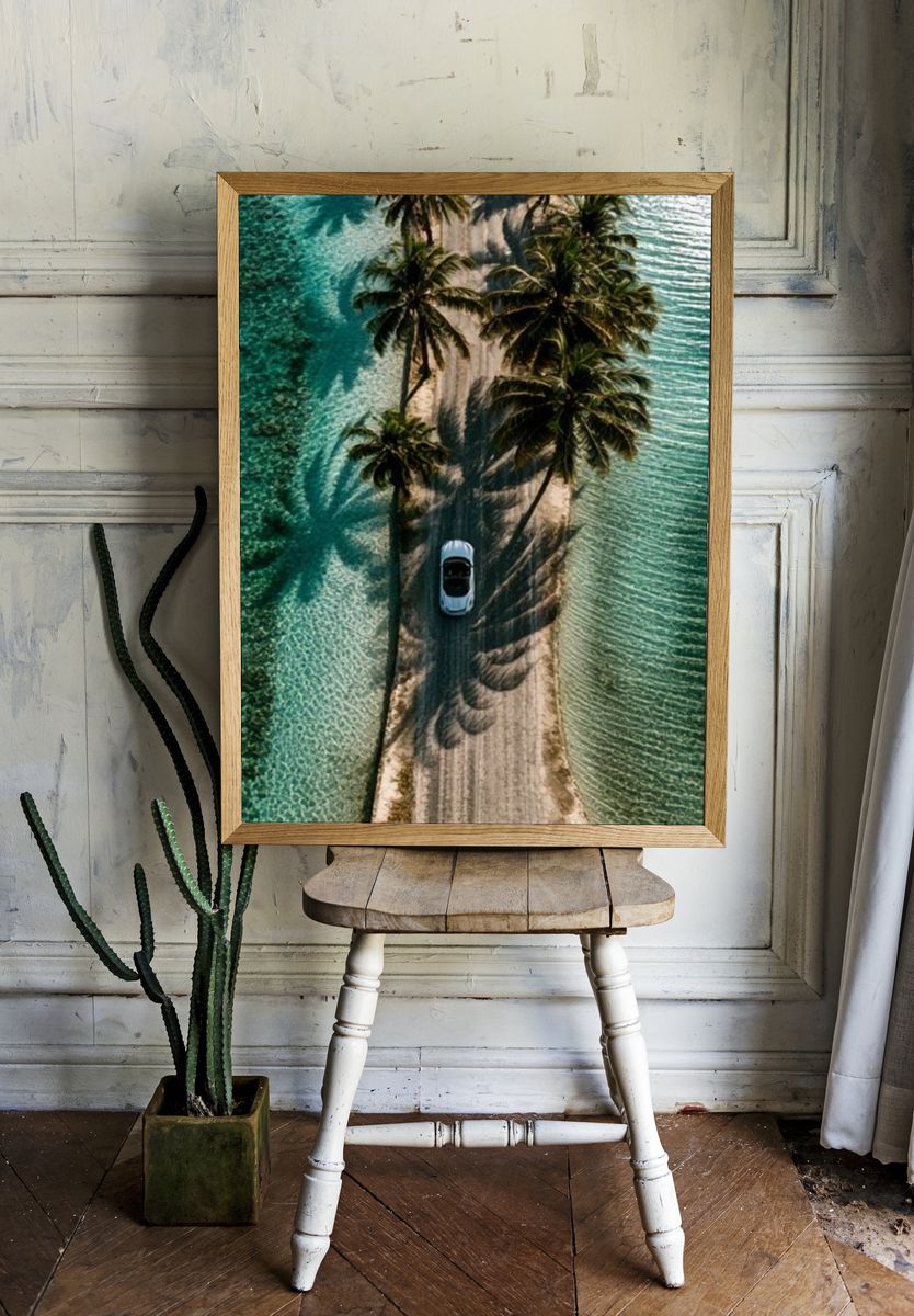 Palm Island Aerial Photography Poster. room preview