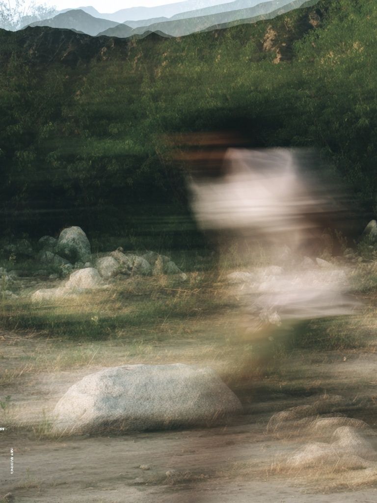 Blurred Forest Motion Photography Poster. poster detail