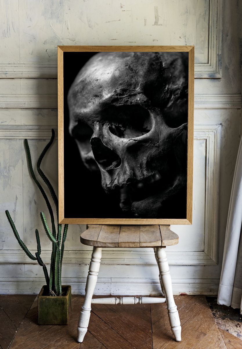 Human Skull Black-White Poster. — room view 1
