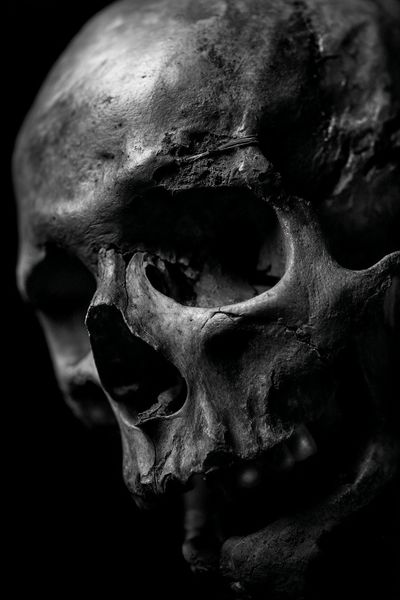 Human Skull Black-White Poster. poster print