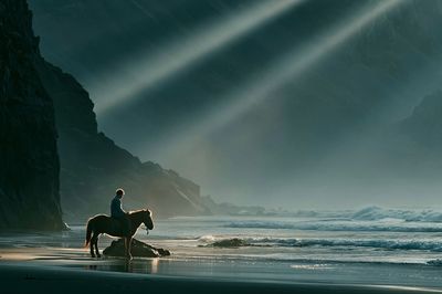 Horse on Misty Beach Photography Poster.