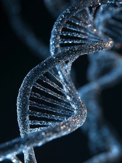 DNA Helix Photography Poster.