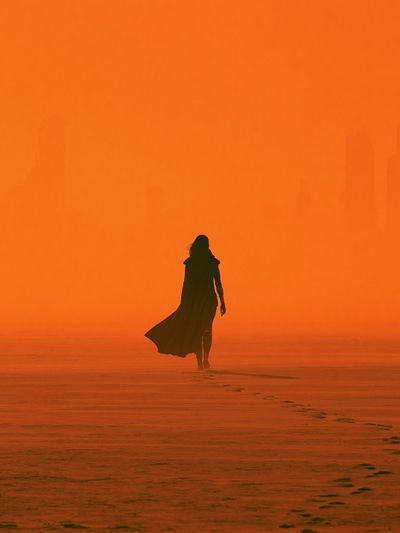 Desert Wanderer Photography Poster. poster