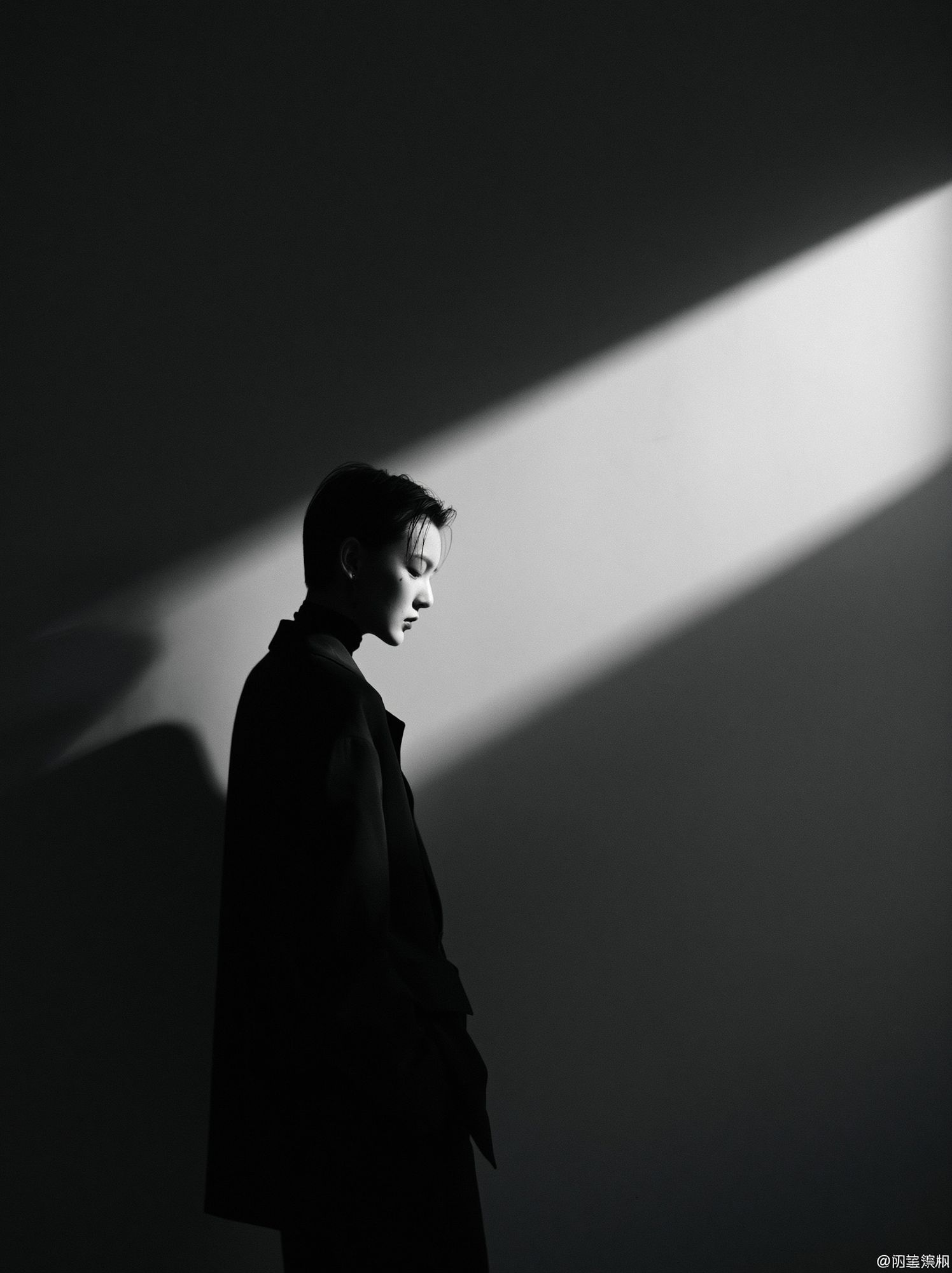 Moody Portrait in Light Poster. poster detail