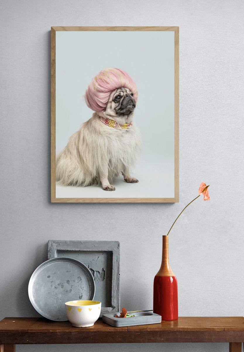 Pug in Pink Wig Photography Poster. — room view 3