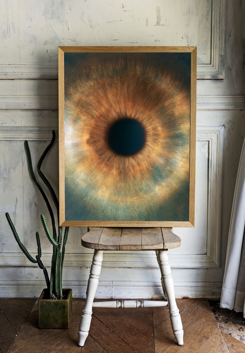 Iris Macro Photography Poster. — room view 1