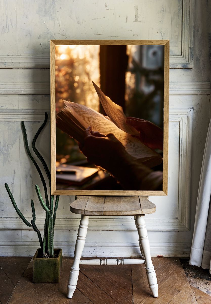 Sunlit Book Reading Photography Poster. — room view 1
