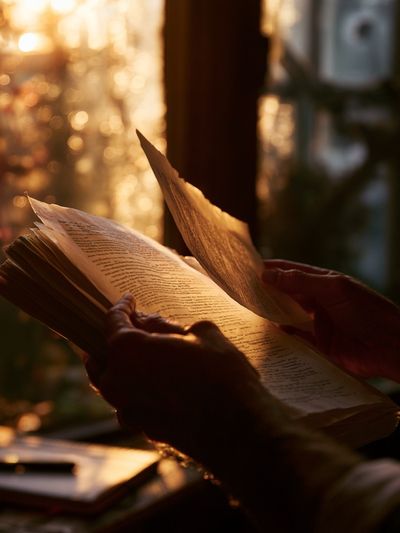 Sunlit Book Reading Photography Poster.