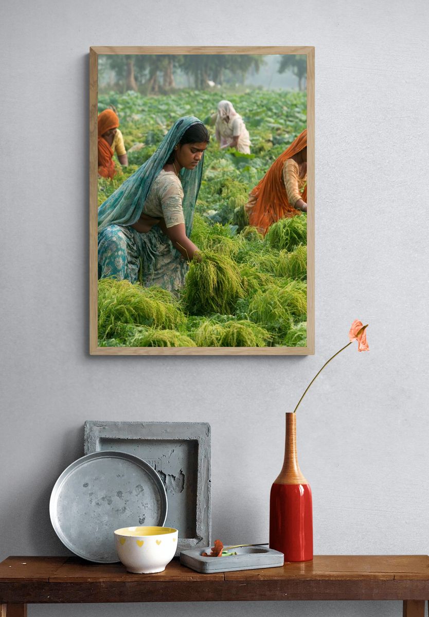 Women Harvesting Rice Photography Poster. — room view 3