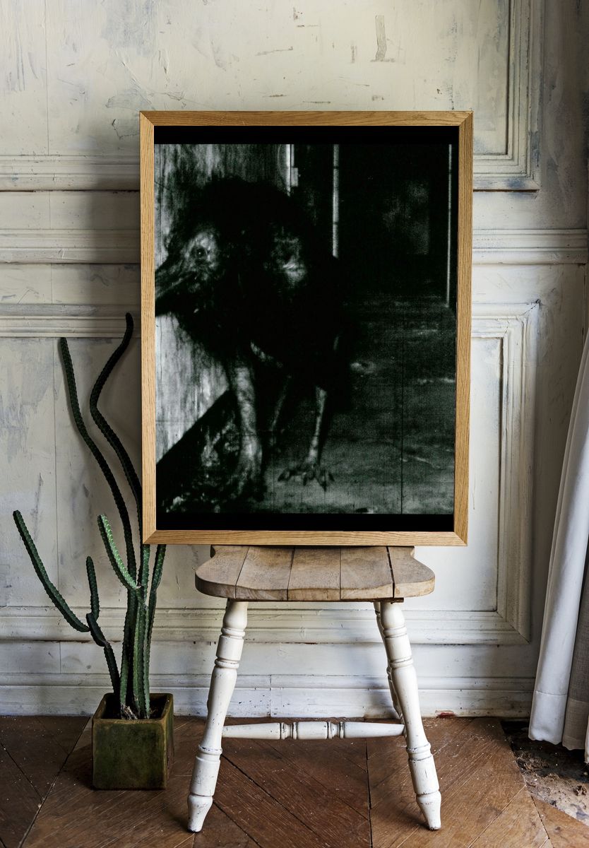 Creepy Bird in Corridor Photography Poster. room preview