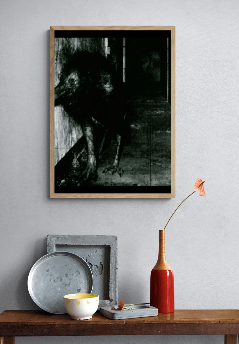Creepy Bird in Corridor Photography Poster. — room view 3