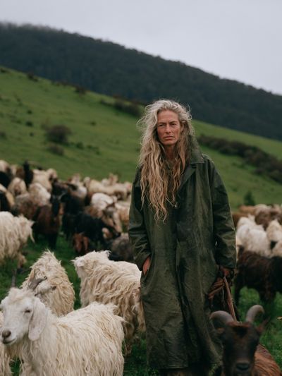 Shepherd in Green Hills Photography Poster.